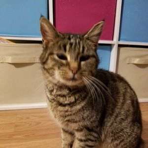 Meet your Posher, Joefrenne